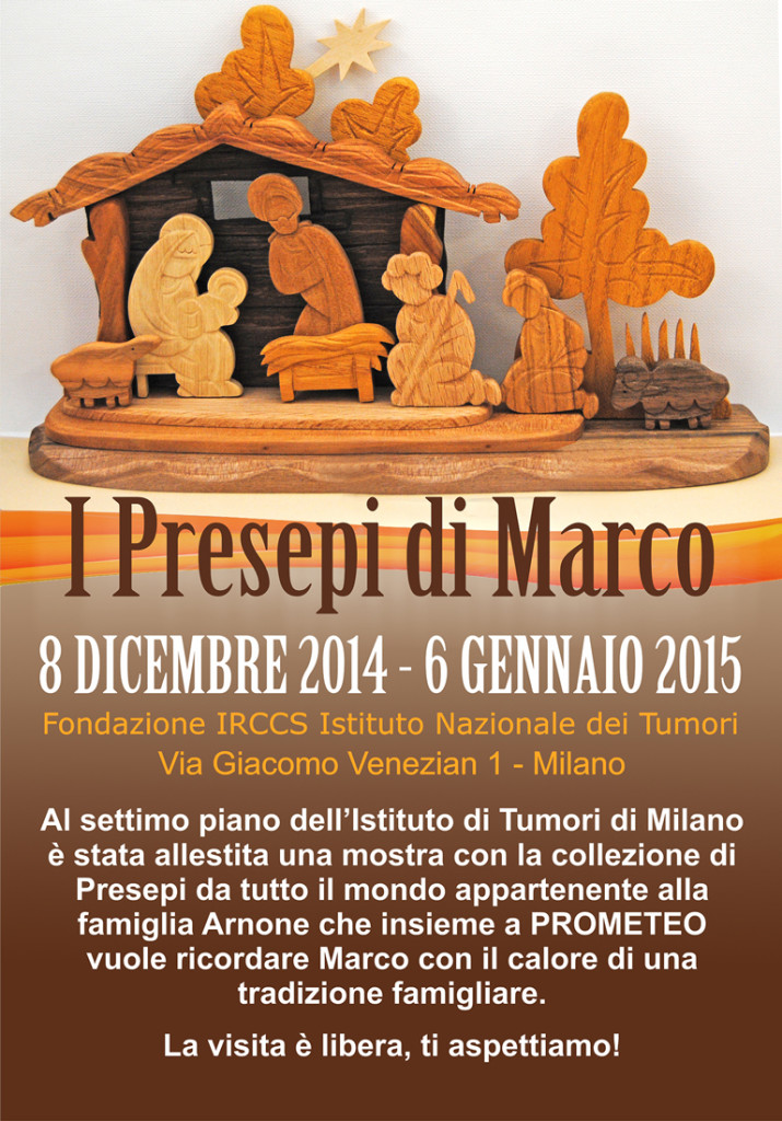 I Presepi di Marco - 8 Dicembre 2014 / 6 Gennaio 2015