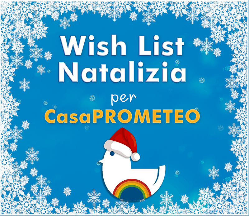 Per questo Natale desideriamo... offrire case più accoglienti ai nostri ospiti! Ecco la Wish List su Amazon 1